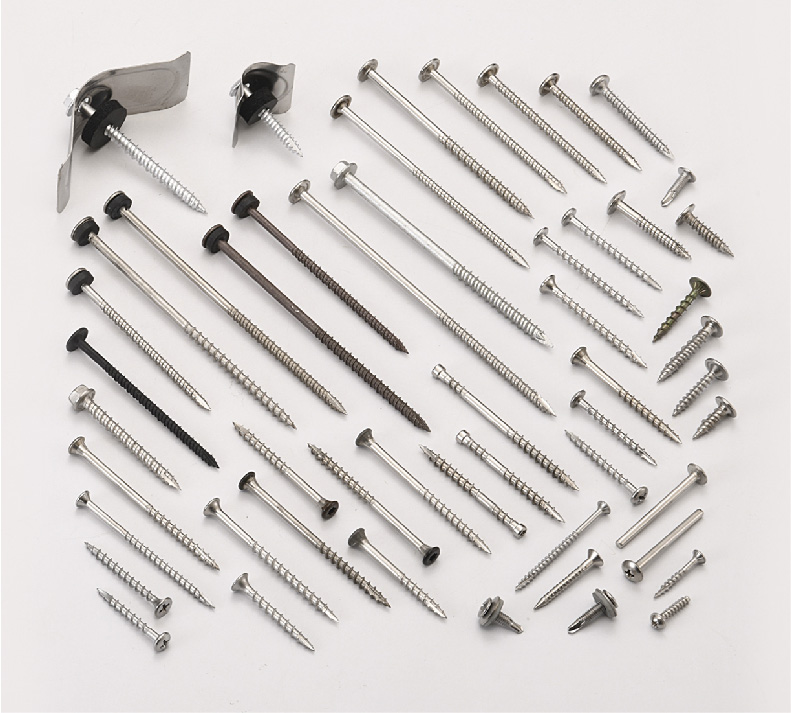 Stainless Steel Screws Stainless Steel Screws